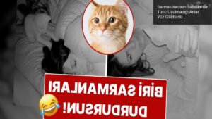 Sarman Kedinin Sahibini Bir Türlü Uyutmadığı Anlar Yüz Güldürdü