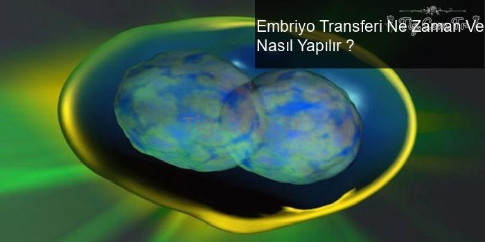 Embriyo Transferi Ne Zaman Ve Nasıl Yapılır ?
