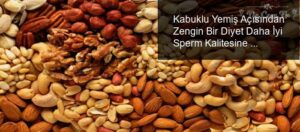 Kabuklu Yemiş Açısından Zengin Bir Diyet Daha İyi Sperm Kalitesine Neden Olur Mu?