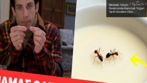 Michelin Yıldızlı Restoranda Karıncalı Yoğurt Tarifi Gündem Oldu