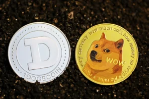 Dogecoin (DOGE) ve Bitcoin: Hangisi Gelecekte Öne Çıkacak?